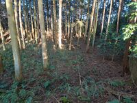 Uenokoka18.jpg