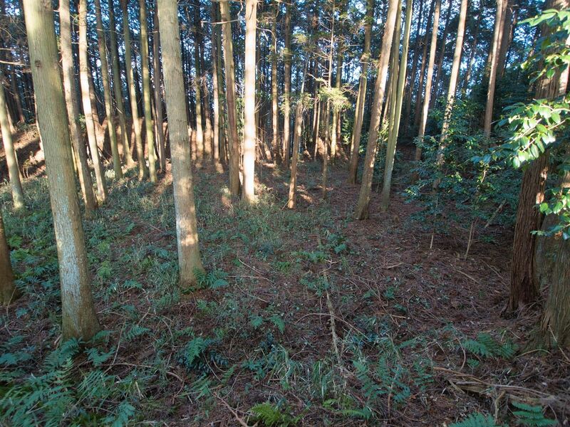 File:Uenokoka18.jpg