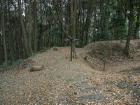 Eboshigata30.jpg