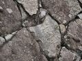 Thumbnail for version as of 07:54, 17 May 2024