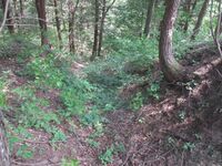 Futsukamachijou (1).jpg