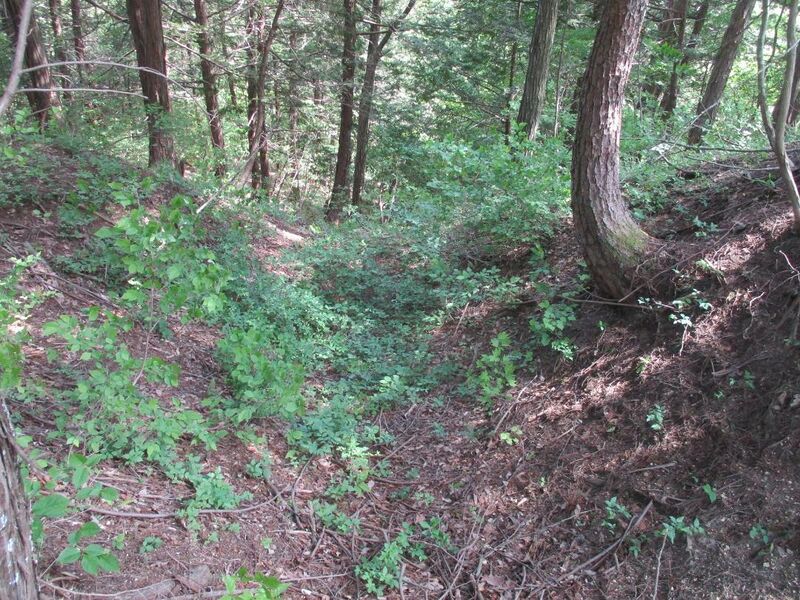 File:Futsukamachijou (1).jpg