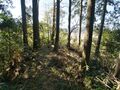 Thumbnail for version as of 00:46, 20 August 2022