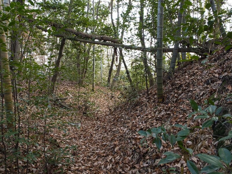File:Kizukyoto22.jpg