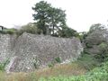 Thumbnail for version as of 09:08, 23 January 2024