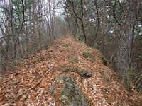 Matsuoko3.jpg