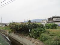 MinochiSendajou (1).JPG