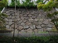 Edo18.jpg