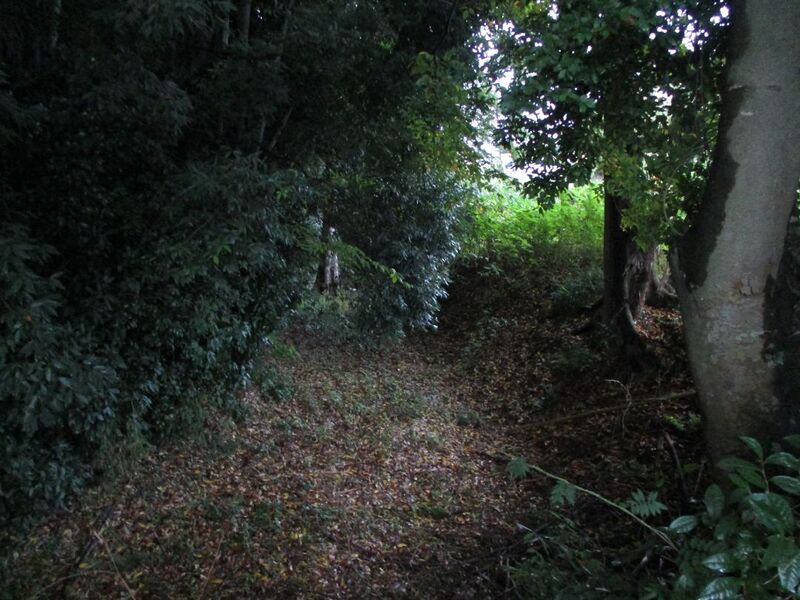 File:Goudojou 004.jpg