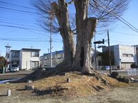 InaShimohiraidekojou (1).JPG
