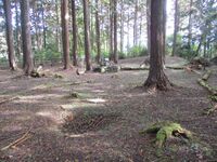MikawaOhkuwajou008.jpg