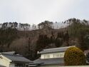 SakuShigajou (78).JPG
