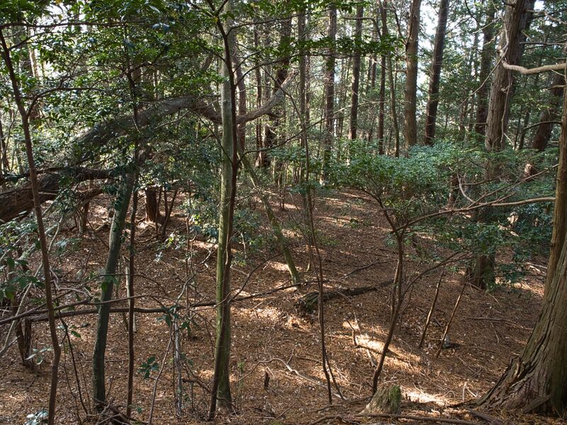 File:Shizuharanorth10.jpg