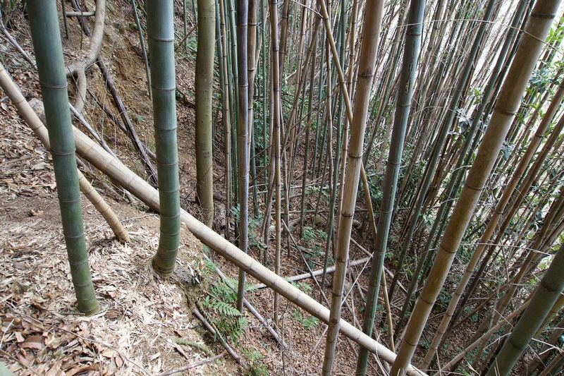 File:Takatsukitokyo1.jpg