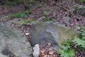 Usami nakoyama quarry37.jpg