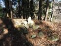 山吹大城19.JPG