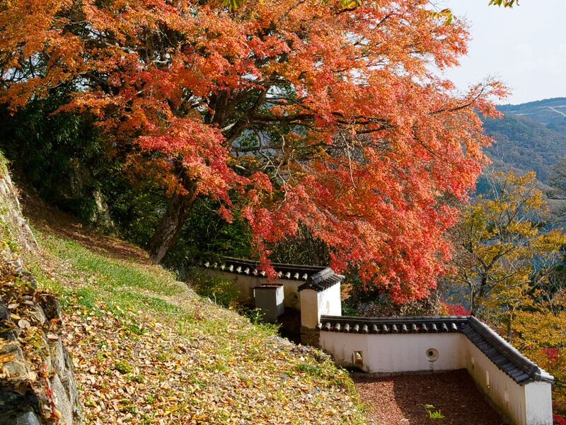File:Bitchumatsuyama20241122 111502.jpeg