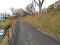 Hamamatsu40.jpg