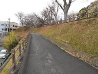 Hamamatsu40.jpg