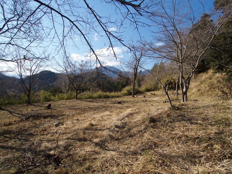 File:Katsuyamatsuru13.jpg