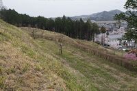 Minagawa8.jpg