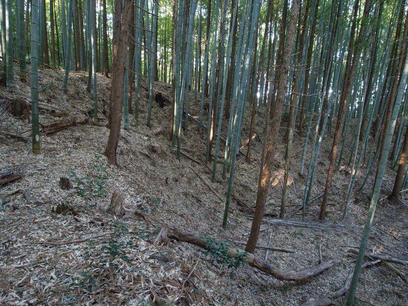 File:Mochizukikoka8.jpg