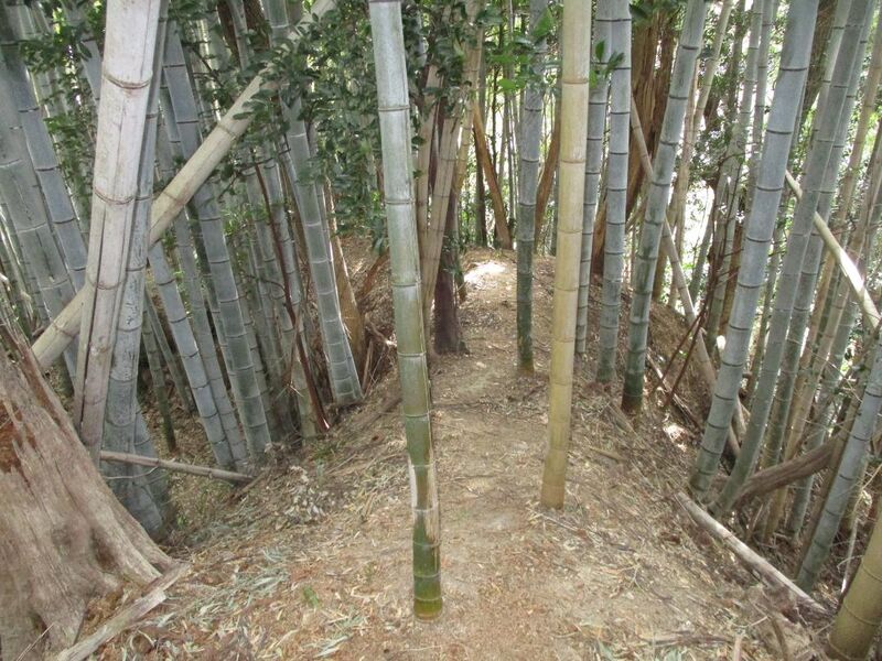 File:TohtoumiIidajou014.jpg