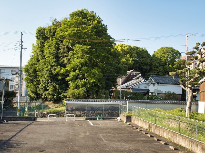 File:Yamashinahonganji8.jpg