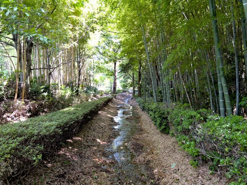 File:Akayamajinya3.jpg