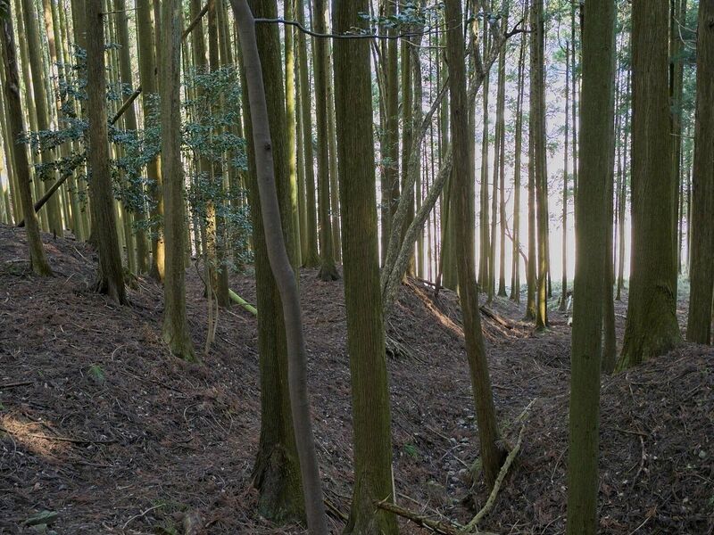 File:Kurokawashi9.jpg