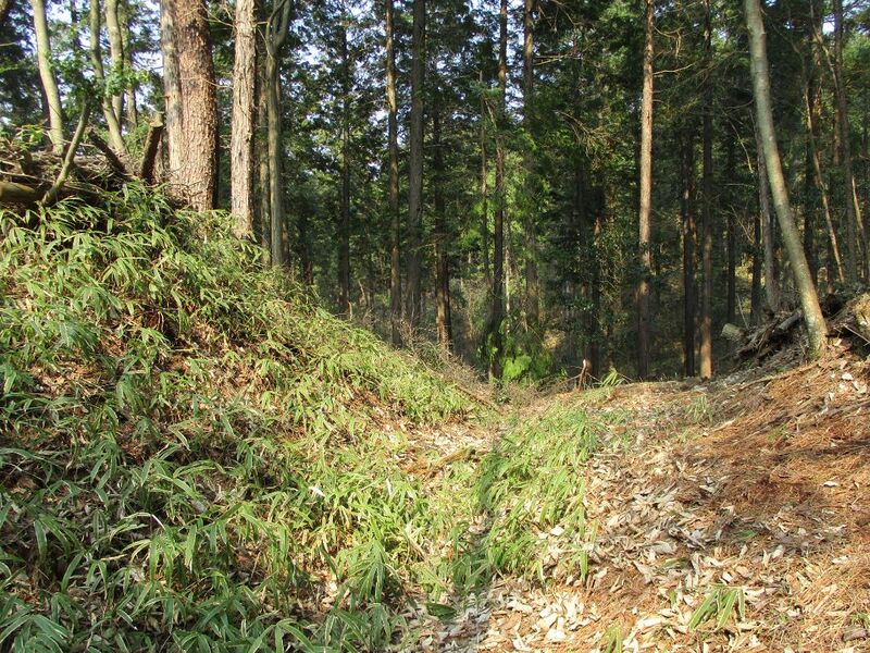 File:Nakanomiyamajou010.jpg