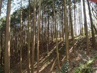 Shigisan10.jpg