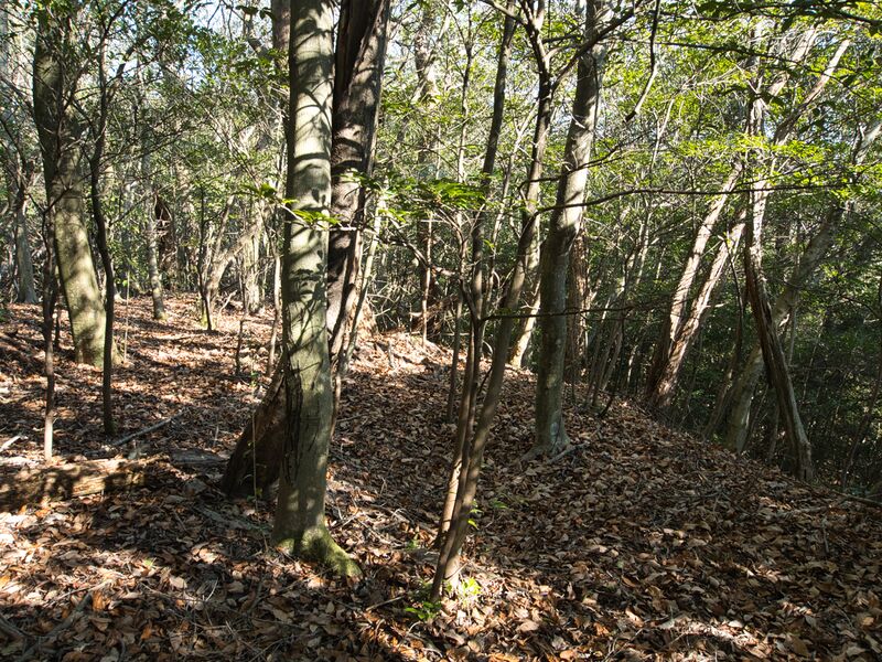 File:Shogunyama20.jpg