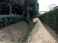 Tamarugenkosha 4.jpg