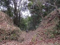 TohtoumiYokochijouA (2).jpg