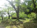 TonomuraYakata06.JPG