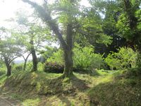 TonomuraYakata06.JPG