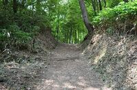 Tsumago1.jpg