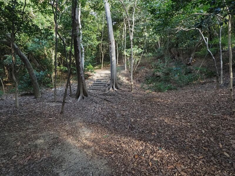 File:Washizufort9.jpg