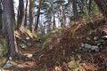 Thumbnail for version as of 13:34, 24 June 2017