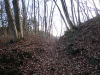 AzumiMikkaichibajou (32).JPG