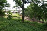 Fujihashi15.jpg