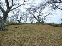 Iwakiri11.jpg
