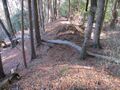 Thumbnail for version as of 16:20, 6 May 2025