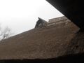 Thumbnail for version as of 19:53, 4 October 2025