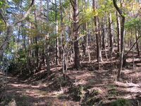 NabeyamajouToride (2).JPG