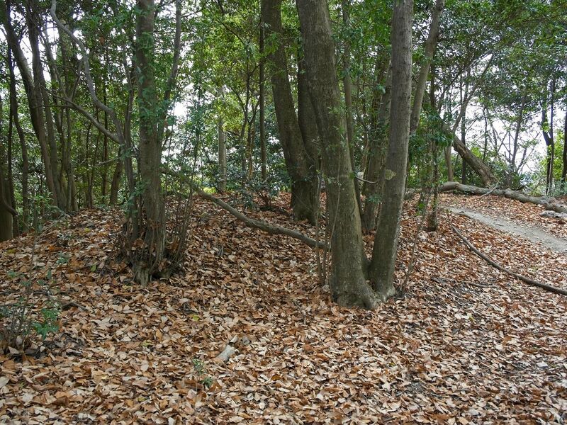 File:Nakaokyoto22.jpg