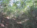 Thumbnail for version as of 18:47, 1 July 2023
