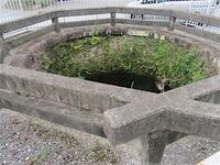 Otaki9.jpg
