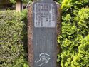 Shibukawayorii2.jpg